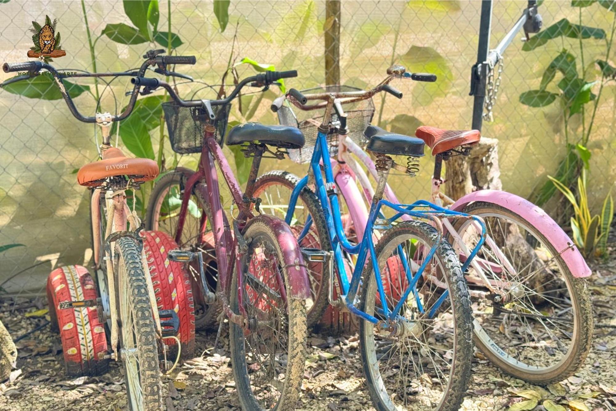 Hotel Selva Bacalar - Free Bike Rental Exteriér fotografie